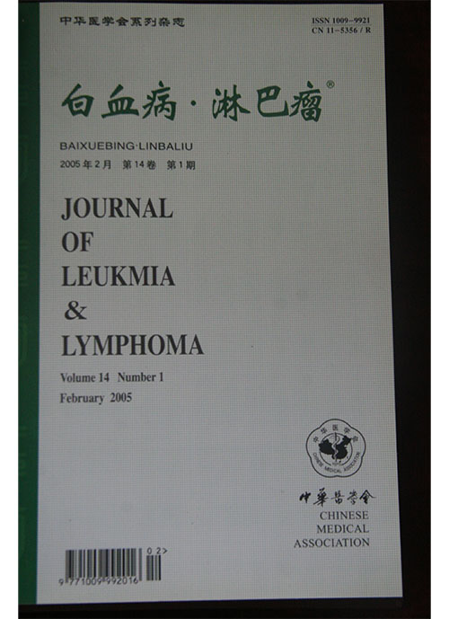2005年《白血病-淋巴瘤》被选为中华医学会系列杂志