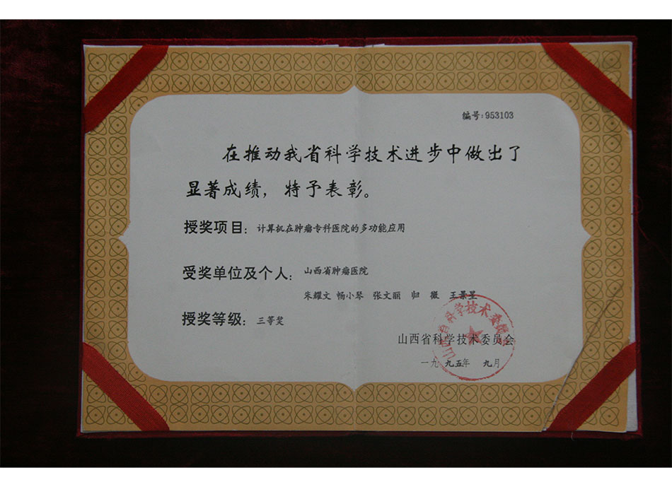 省级个人荣誉1995年9月朱耀文在推动我省科学技术中做出显著成绩授奖项目获三等奖