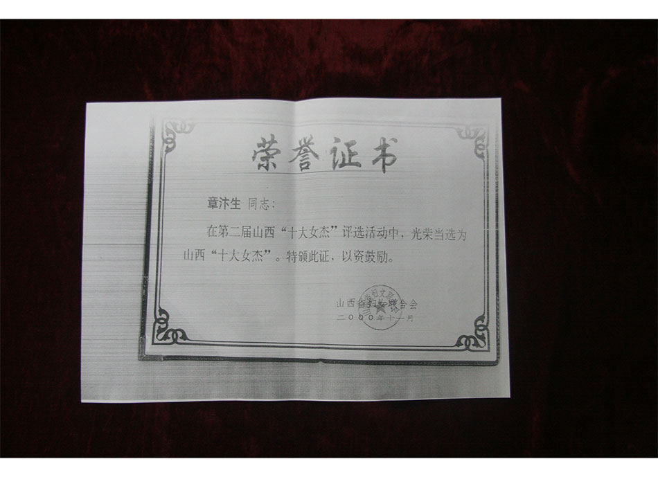 省级个人荣誉2000年11月章汴生获第二届山西省“十大女杰”称号