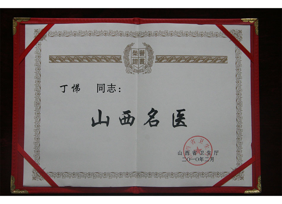 省级个人荣誉2010年2月丁悌荣获山西名医