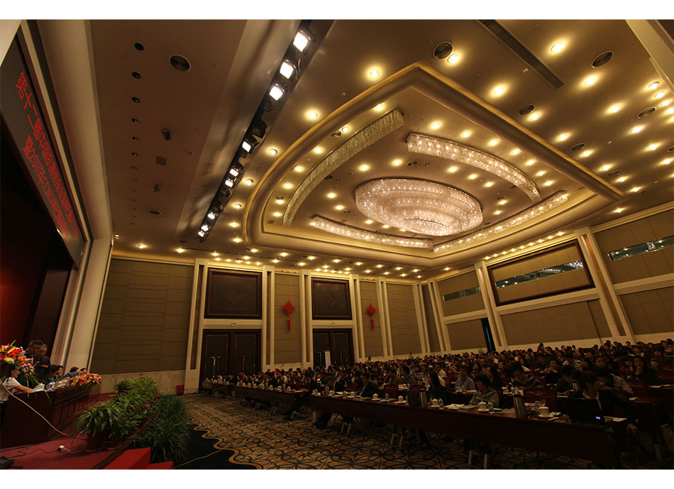 2011年第十二届中国抗癌协会全国淋巴瘤学术大会及2011年CCMO淋巴瘤高峰会议3