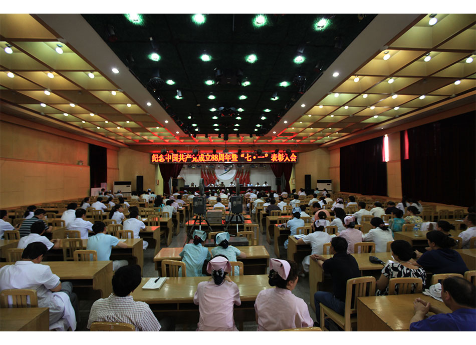 2009年纪念共产党成立88周年及七一表彰大会