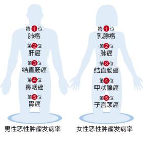 图片35.jpg