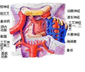 图片44.jpg