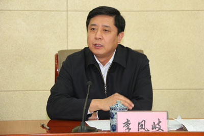 李凤岐书记提出四点要求.jpg