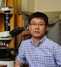 病理科-徐恩伟.jpg 病理科-徐恩伟.jpg