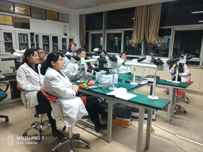 P90311-192615_recompress.jpg P90311-192615_recompress.jpg