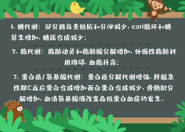 绿色手绘世界动物日.jpg