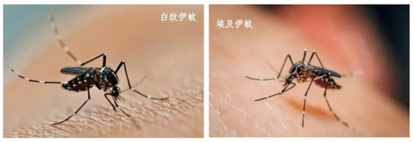 微信图片_2026-03-26_085303_211.jpg 微信图片_2026-03-26_085303_211.jpg