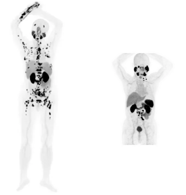 拼1 (15).png 拼1 (15).png