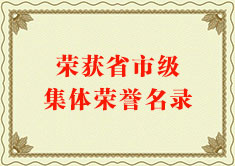 荣获省市级集体荣誉名录