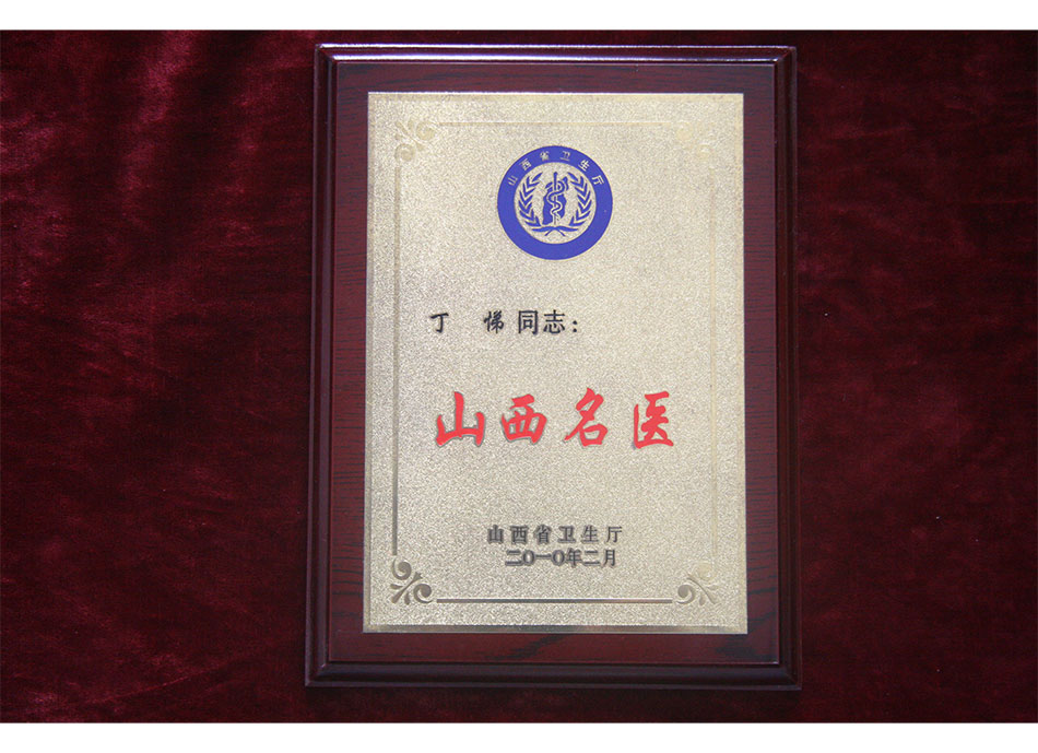2010年2月丁悌荣获山西名医奖章