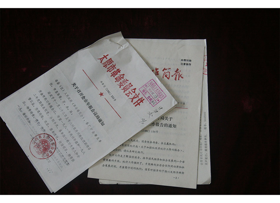 1981年统计年报会议相关文件