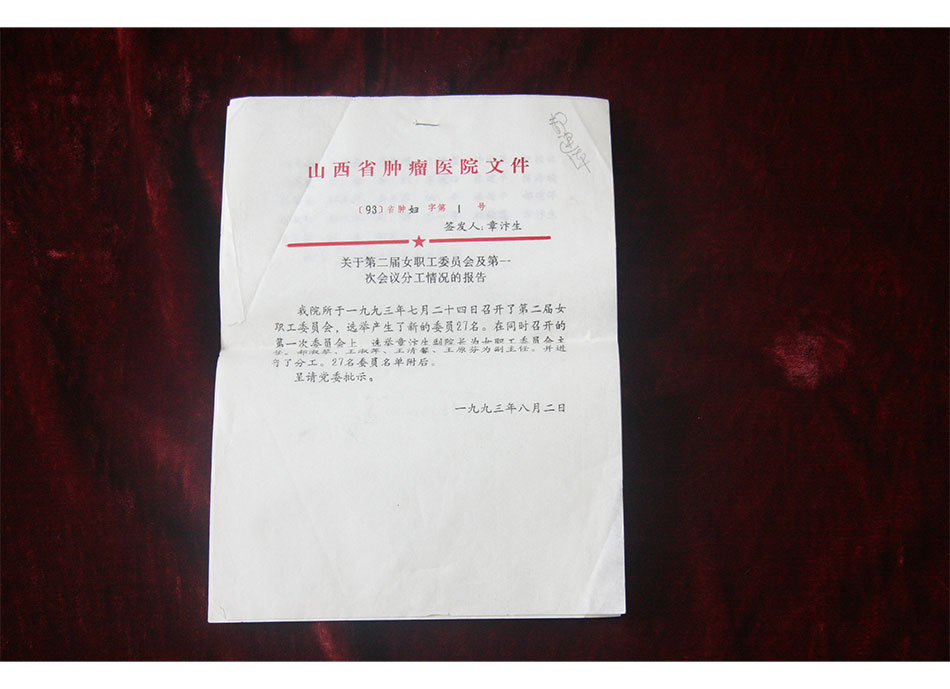 1993年关于第二届女职工委员会及#次会议分工情况的报告文件