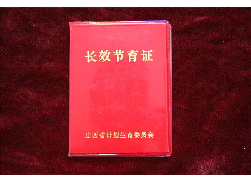 1989年长效节育证
