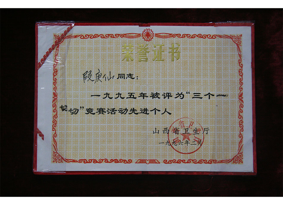 省级个人荣誉1996年2月授予段庚仙95年度先进个人