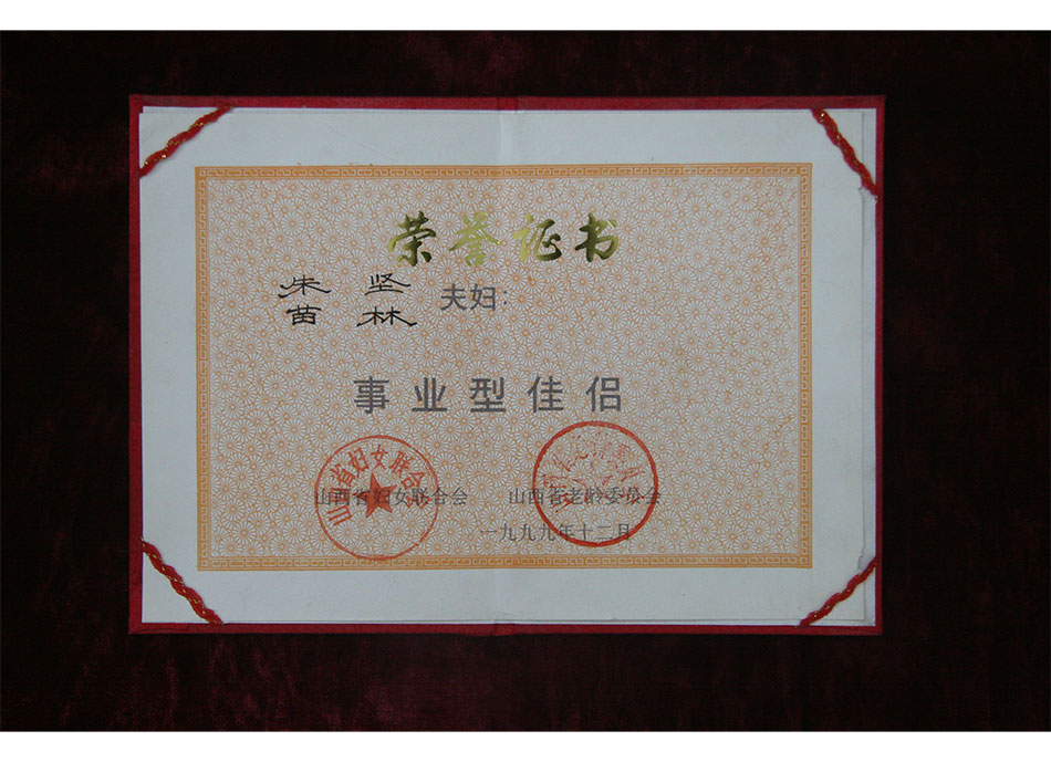 省级个人荣誉1999年12月苗林夫妇获“事业型佳侣”