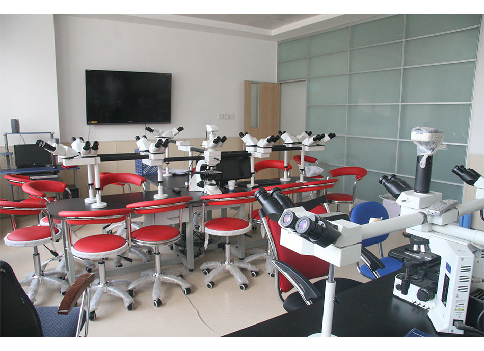 病理科-十五人共览高清显微镜